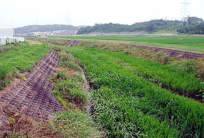 思ひ川河川敷