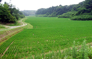 北部丘陵地