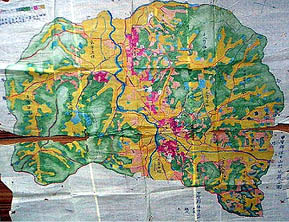 甲賀郡　伴中山村　地籍全図